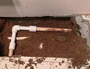 徐闻测漏水哪家好