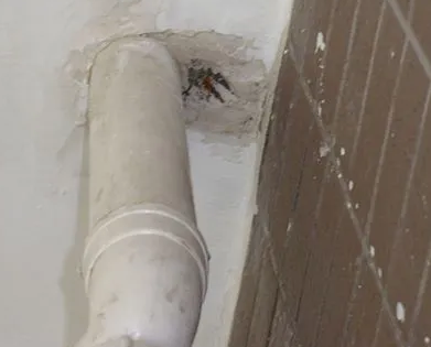 徐闻漏水检测哪家好